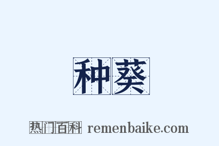 种葵是什么意思的图片